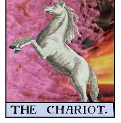 collage style Chariot tarot card with rearing horse and abstract background