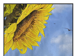 collage style Sun tarot card with sunflower against blue sky